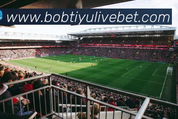 App Interface Preview