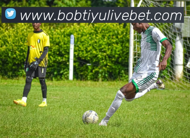 BOB体育APP 封面图